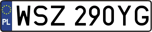 WSZ290YG