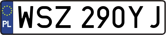 WSZ290YJ