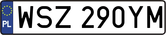 WSZ290YM