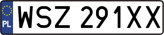 WSZ291XX