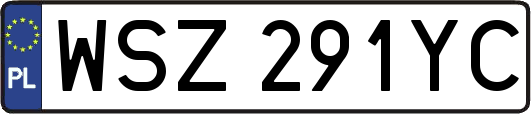 WSZ291YC