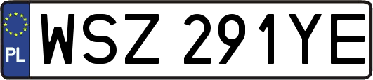 WSZ291YE