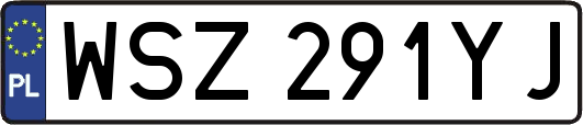 WSZ291YJ