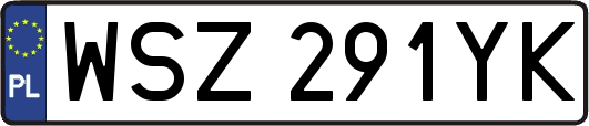 WSZ291YK