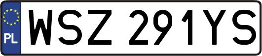 WSZ291YS