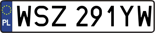 WSZ291YW