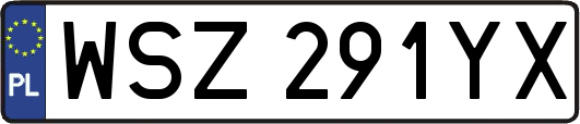 WSZ291YX
