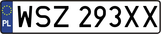 WSZ293XX