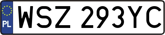 WSZ293YC