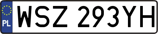 WSZ293YH