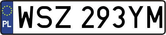 WSZ293YM