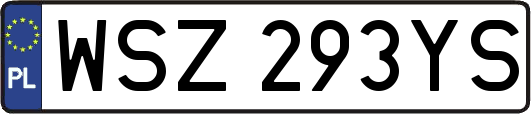 WSZ293YS