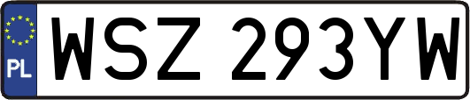 WSZ293YW