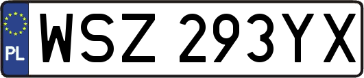 WSZ293YX