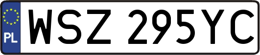 WSZ295YC