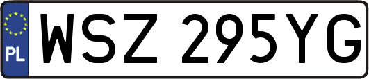 WSZ295YG