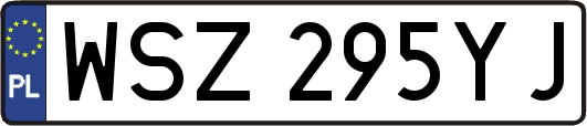 WSZ295YJ