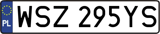 WSZ295YS