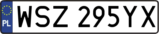 WSZ295YX