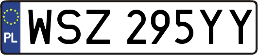 WSZ295YY