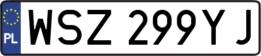WSZ299YJ