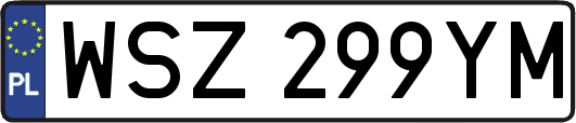 WSZ299YM