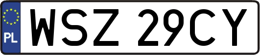 WSZ29CY