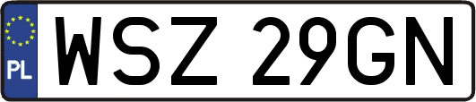 WSZ29GN