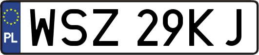 WSZ29KJ