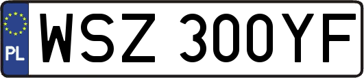 WSZ300YF