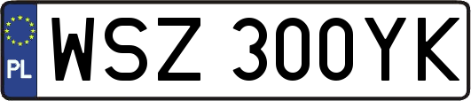WSZ300YK
