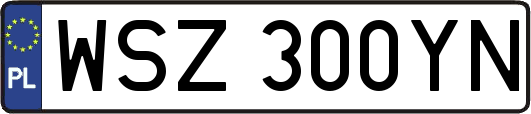 WSZ300YN
