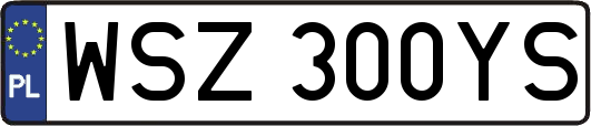 WSZ300YS
