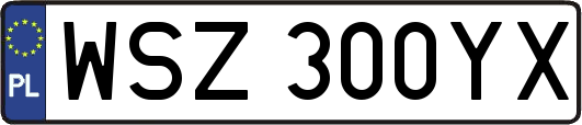 WSZ300YX