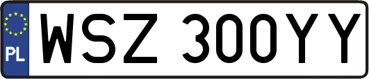 WSZ300YY