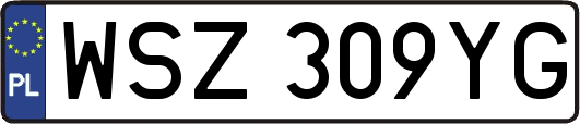 WSZ309YG