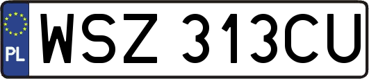 WSZ313CU