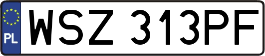 WSZ313PF