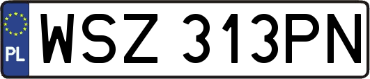 WSZ313PN