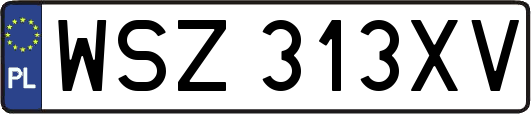 WSZ313XV