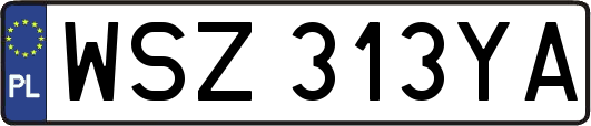WSZ313YA