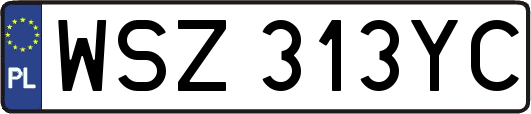 WSZ313YC