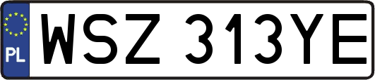 WSZ313YE
