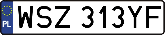 WSZ313YF