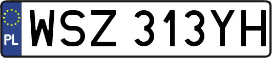 WSZ313YH