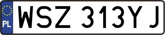 WSZ313YJ