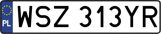 WSZ313YR
