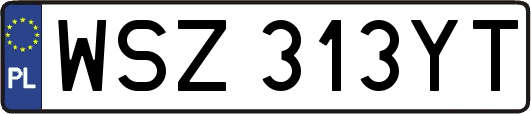 WSZ313YT