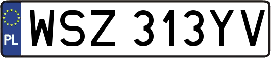 WSZ313YV