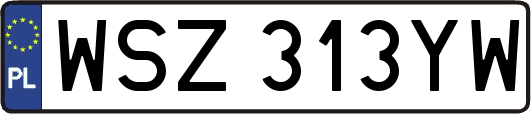 WSZ313YW